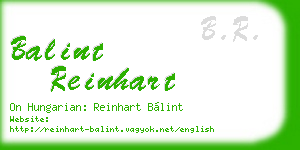 balint reinhart business card